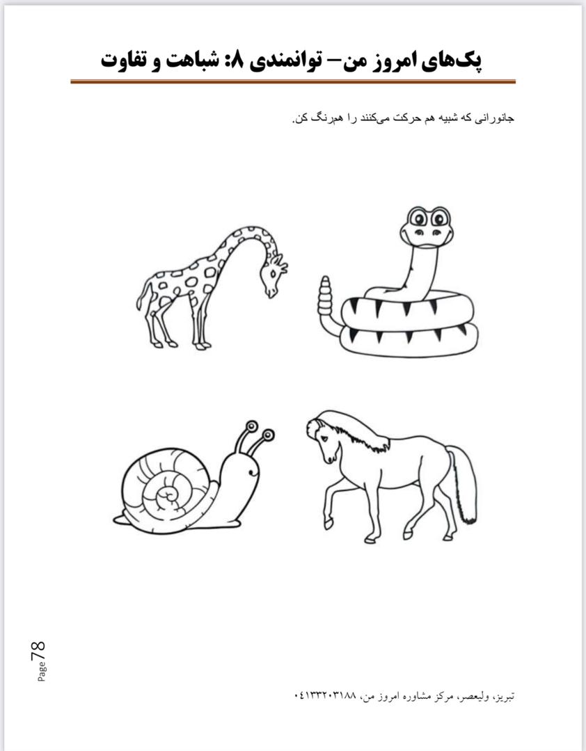 پک توانمندی (8): تفاوت و تشابه - تصویر 6